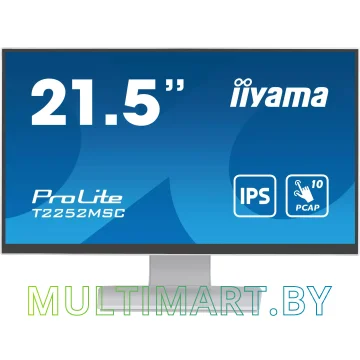 Монитор Iiyama ProLite T2252MSC-W2